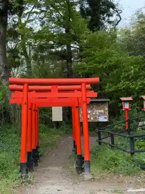 西坂ねこ稲荷神社の{uncategorized: "未分類", other: "その他", undefined: "問題あり", building: "その他建物", grave: "お墓", sacred_gate: "鳥居", guardian: "狛犬", statue: "像", buddha: "仏像", history: "歴史", nature: "自然", garden: "庭園", animal: "動物", pagoda: "塔", temizu: "手水舎", mountain_gate: "山門・神門", sanctuary: "本殿・本堂", subordinate: "末社・摂社", art: "芸術", scenery: "景色", jizo: "地蔵", ema: "絵馬", goshuin: "御朱印", omikuji: "おみくじ", items: "授与品その他", amulet: "お守り", goshuincho: "御朱印帳", eats: "食事", festival: "お祭り", votive_dance: "神楽", shichigosan: "七五三参", wedding: "結婚式", experience: "体験その他", initially: "初詣", around: "周辺", anti_infection: "感染症対策"}
