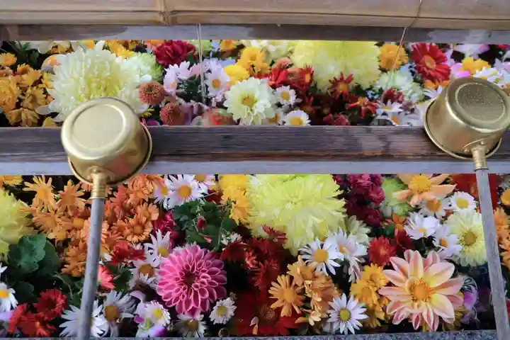 豊景神社の手水舎