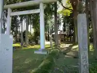金井神社の鳥居