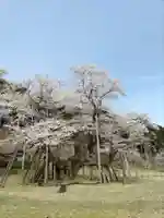 淡墨観音(岐阜県)