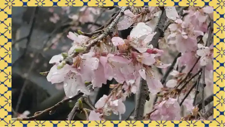 尾久八幡神社(東京都)