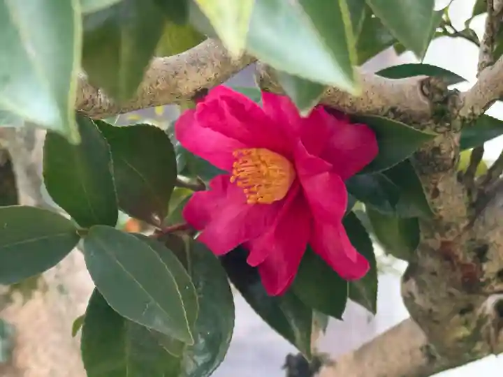 西方山極楽寺(岐阜県)