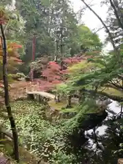 八葉寺の庭園