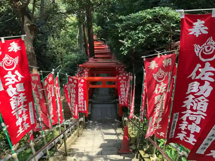 佐助稲荷神社の鳥居