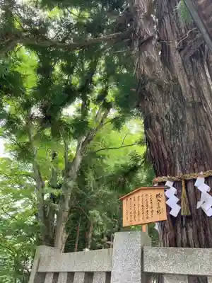 諏訪大社下社秋宮(長野県)