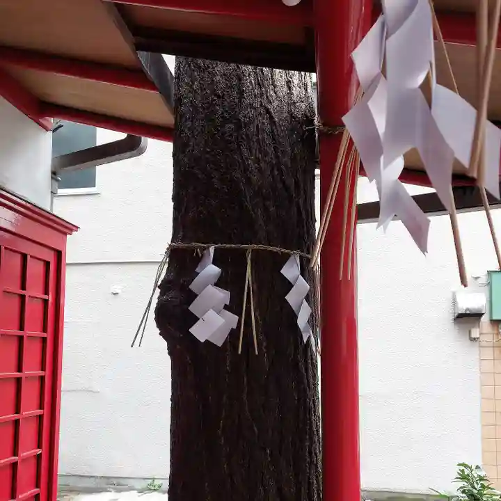 鳥居稲荷神社の自然