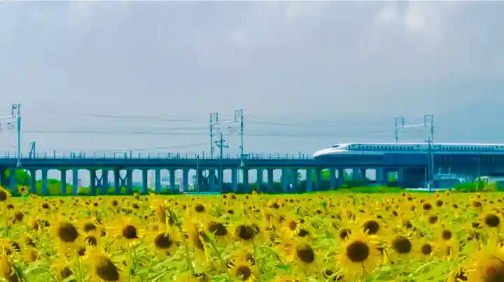 御嶽神社茅萱宮(岐阜県)