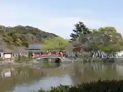 鶴岡八幡宮(神奈川県)