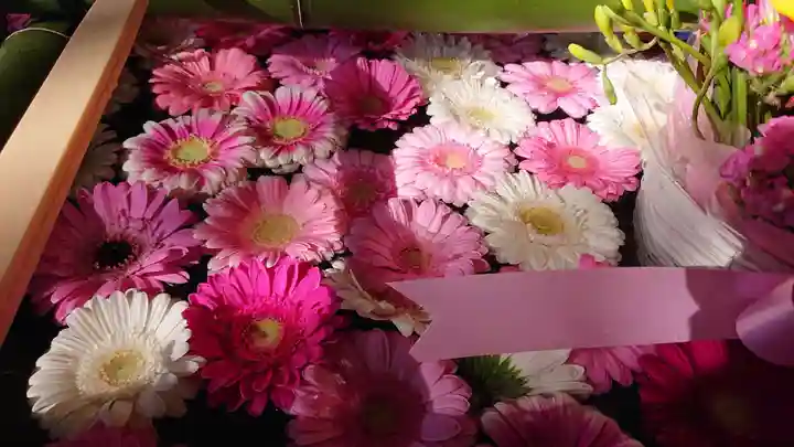 唐澤山神社(栃木県)