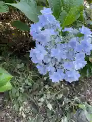 大生郷天満宮の自然