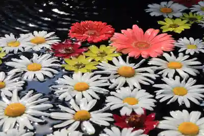 大鏑神社の手水舎
