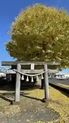 清水八幡宮(埼玉県)
