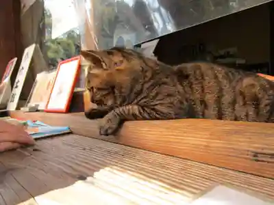 長岳寺(奈良県)