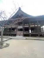 豊国神社 の本殿・本堂
