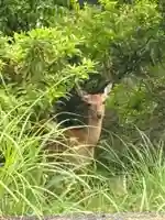 十輪寺(徳島県)