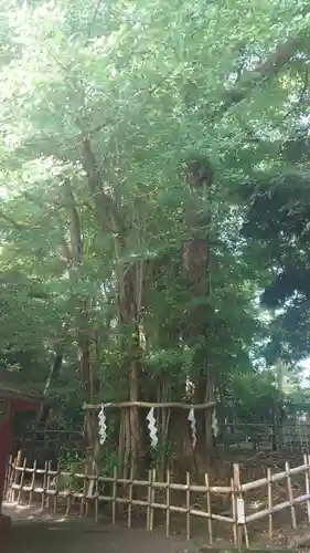 大國魂神社(東京都)