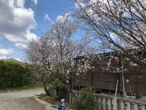 阿久刀神社の景色