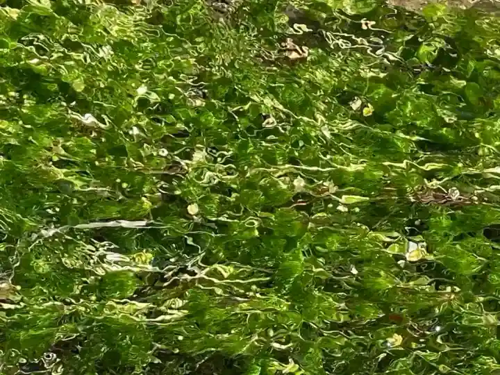 穂高神社本宮(長野県)