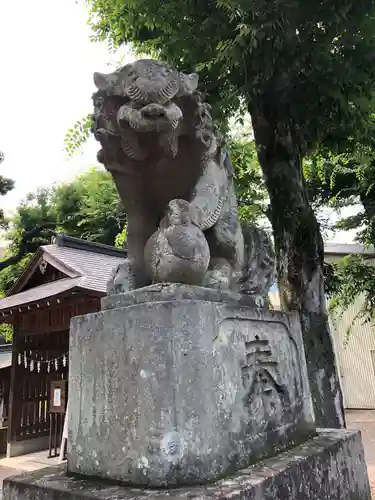 多賀神社の狛犬