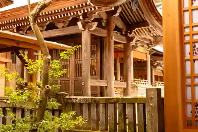 諏訪大社(長野県)