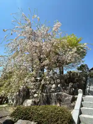 信濃比叡廣拯院(長野県)