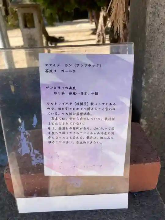 三津厳島神社の手水舎