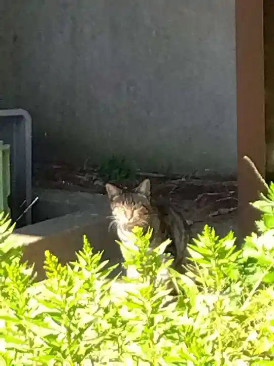 五郎兵衛稲荷神社(茨城県)