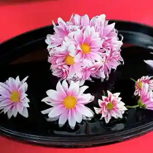 阿邪訶根神社の手水舎(2021年10月30日(土) 12時03分57秒投稿)