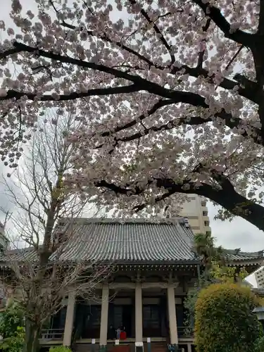 報恩寺(東京都)