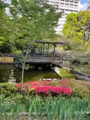 東郷神社の庭園