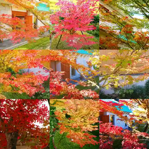 寿量山　速成寺の自然