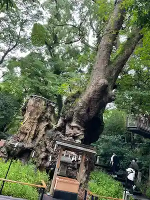 來宮神社(静岡県)