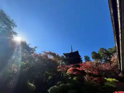 常樂寺(滋賀県)