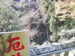 大山寺の景色