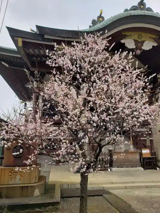 諏訪神社(東京都)