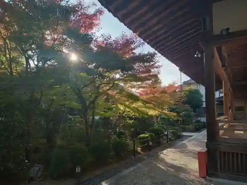 伊勢寺(大阪府)