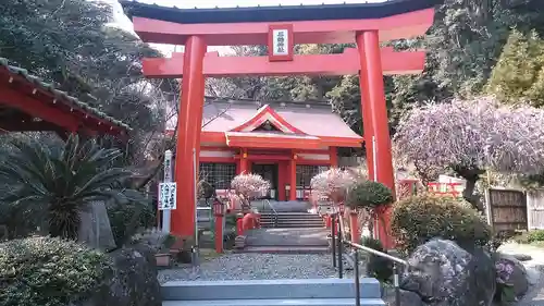 石鎚神社の鳥居