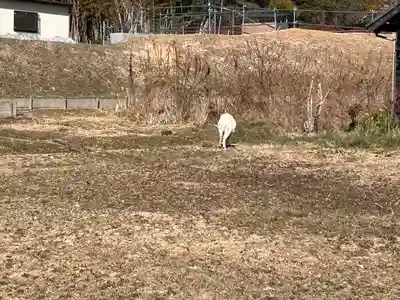 聖應寺(愛知県)
