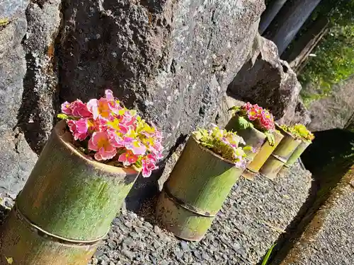 須山浅間神社(静岡県)