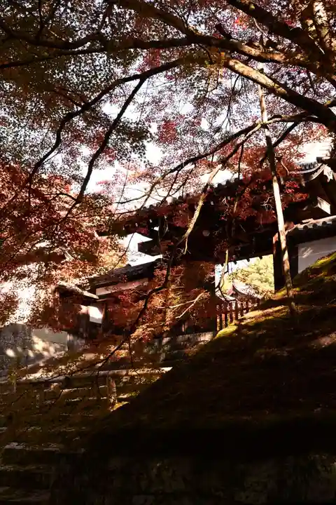 曼殊院門跡(京都府)