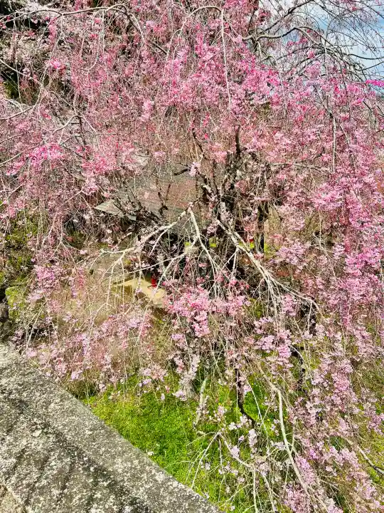 龍谷院の{uncategorized: "未分類", other: "その他", undefined: "問題あり", building: "その他建物", grave: "お墓", sacred_gate: "鳥居", guardian: "狛犬", statue: "像", buddha: "仏像", history: "歴史", nature: "自然", garden: "庭園", animal: "動物", pagoda: "塔", temizu: "手水舎", mountain_gate: "山門・神門", sanctuary: "本殿・本堂", subordinate: "末社・摂社", art: "芸術", scenery: "景色", jizo: "地蔵", ema: "絵馬", goshuin: "御朱印", omikuji: "おみくじ", items: "授与品その他", amulet: "お守り", goshuincho: "御朱印帳", eats: "食事", festival: "お祭り", votive_dance: "神楽", shichigosan: "七五三参", wedding: "結婚式", experience: "体験その他", initially: "初詣", around: "周辺", anti_infection: "感染症対策"}