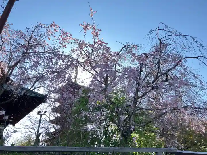 本土寺(千葉県)