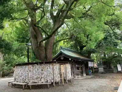 平塚八幡宮(神奈川県)