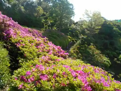 仏行寺（佛行寺）の庭園