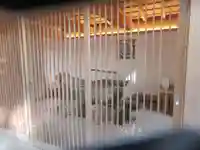 星川杉山神社の手水舎