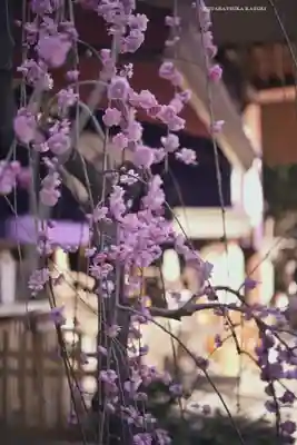 東京大神宮(東京都)