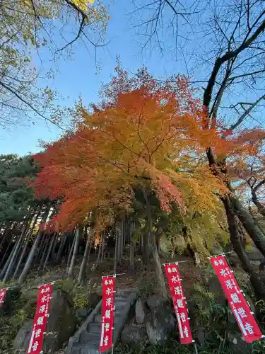 水澤寺(水澤観世音)(群馬県)