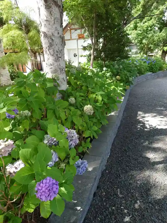 西野神社のその他建物