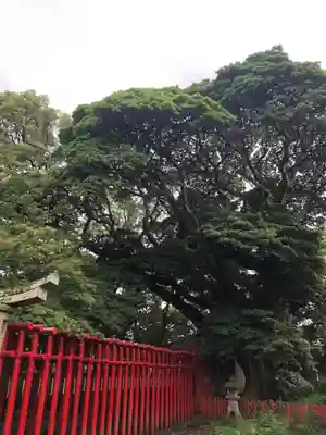 八阪神社(山口県)