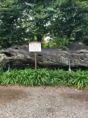 瀬戸神社の建物その他